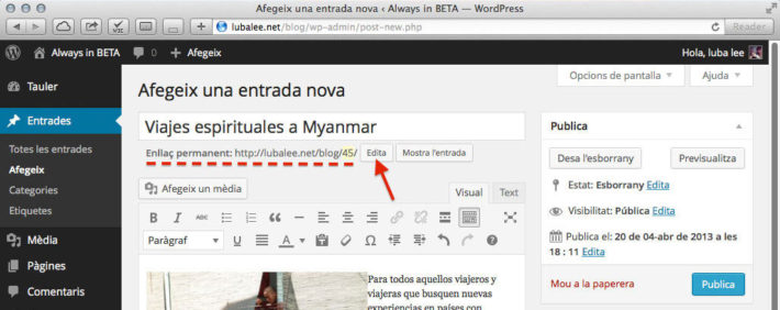 Editor d'entrades de WordPress